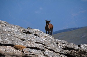 dsc_1040.jpg