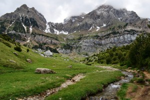 dsc_0413.jpg