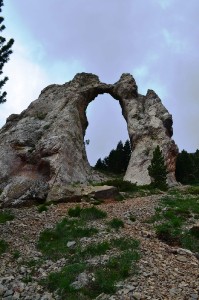 dsc_0441.jpg