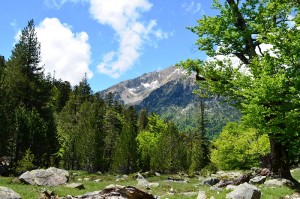 dsc_0548.jpg