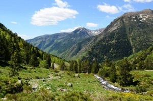 dsc_0594.jpg