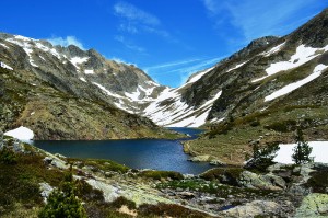 dsc_0645.jpg