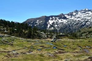 dsc_0684.jpg